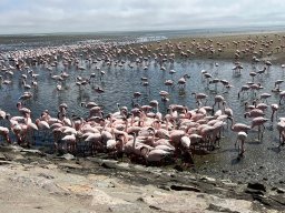 Svenjas Bilder &raquo; Unterwegs